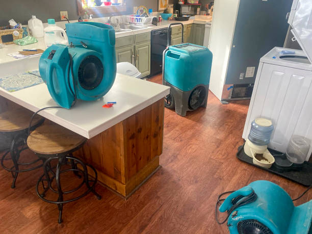 Water damage restoration insurance claims in Carlton, OR