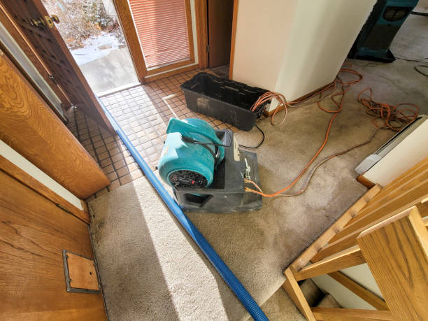 Best Local water damage restoration  in Carlton, OR