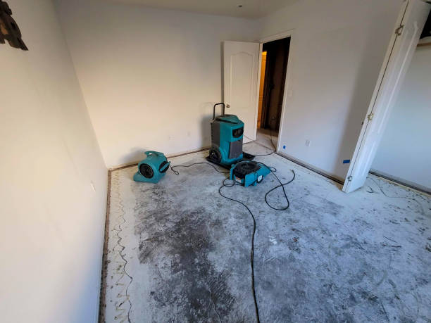 Best Commercial water damage restoration  in Carlton, OR
