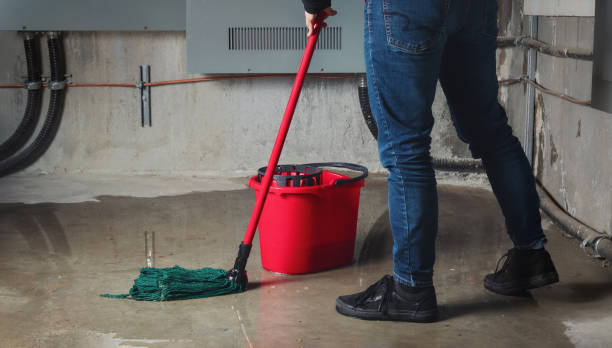  Carlton, OR Water damage restoration Pros