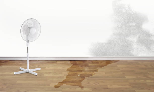 Best Water damage restoration near me  in Carlton, OR