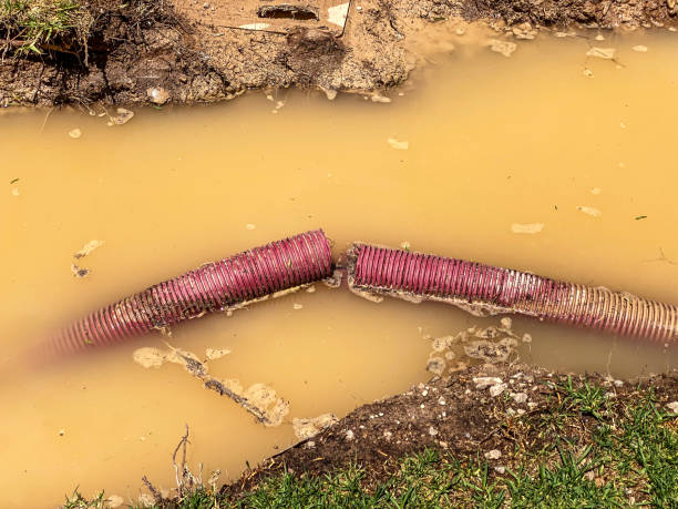 Trusted Carlton, OR Water damage restoration Experts