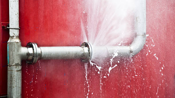 Best Water damage restoration specialists  in Carlton, OR