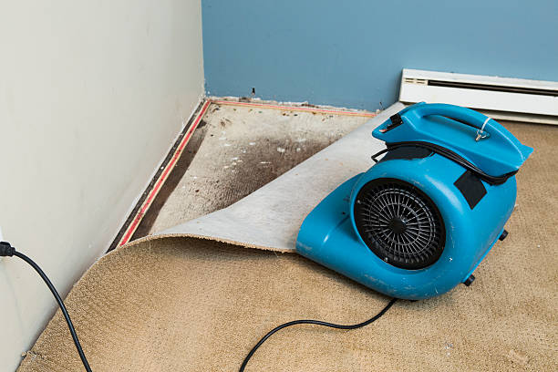 Best 24-hour water damage restoration  in Carlton, OR