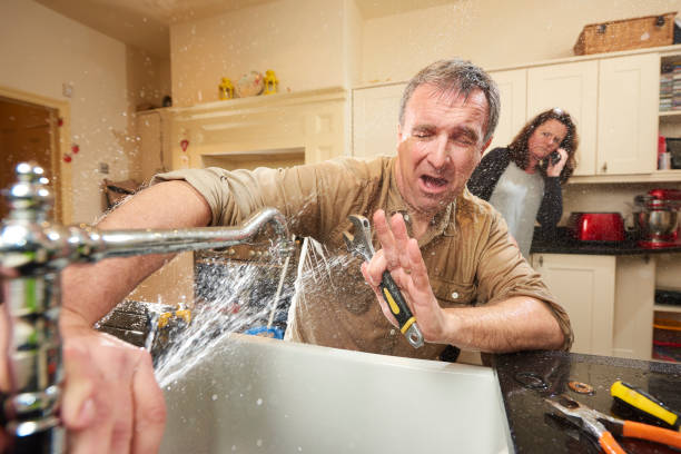 Best Water damage contractors near me  in Carlton, OR